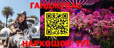 гидра Севастополь