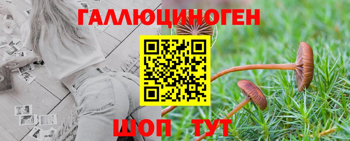 Сорочинск  продажа наркотиков  Вход с VPN  Галлюциногенные грибы мицелий 